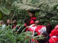 Tn 0935 DSC00109
